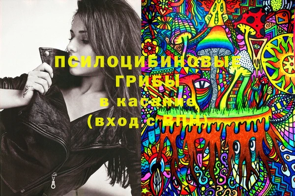 стаф Алексеевка